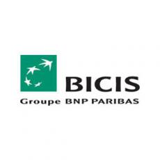 bcis